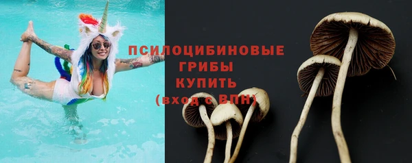 стафф Балахна