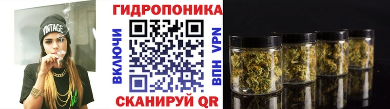 Шишки марихуана планчик  Яблоновский 